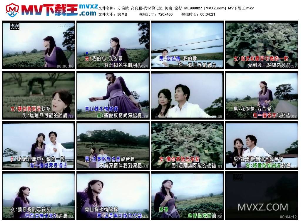 方瑞娥_高向鹏-尚深的记忆_闽南_流行_ME900827